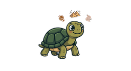 Teo - Historia y Geografía